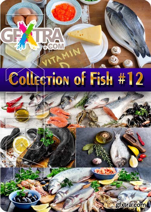 Food. Mega Collection. Fish #12 - Stock Photo