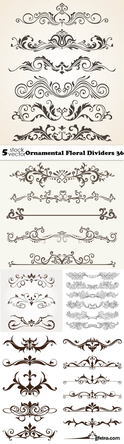 Vectors - Ornamental Floral Dividers 36