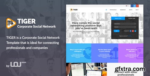 ThemeForest - Tiger - Corporate Social Network Template (Update: 28 June 16) - 16078949