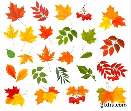 autumn background is a picture poster flyer banner leaf tree EPS 25