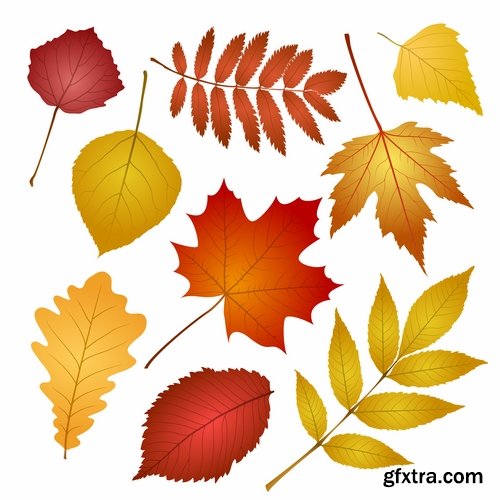 autumn background is a picture poster flyer banner leaf tree EPS 25