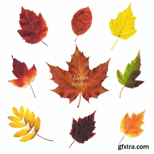 autumn background is a picture poster flyer banner leaf tree EPS 25