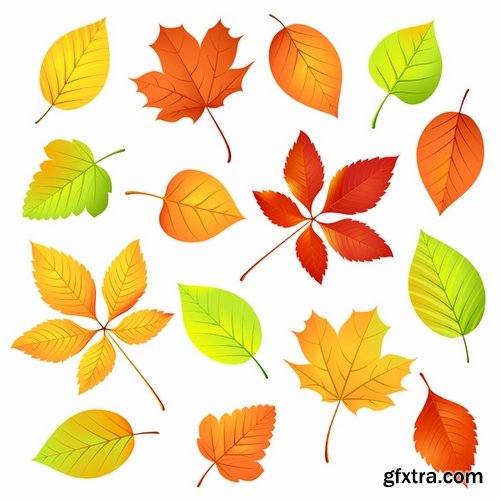 autumn background is a picture poster flyer banner leaf tree EPS 25