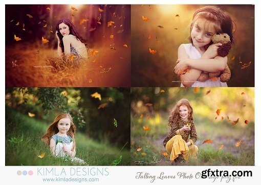 Falling Leaves Photo Overlays