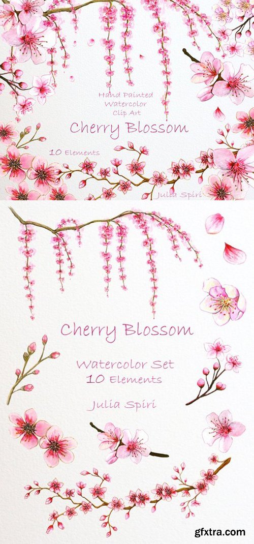 CM - Cherry Blossom. Watercolor Clip Art 780416