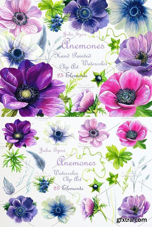 CM - Watercolor Flowers ClipArt. Anemones 1321430