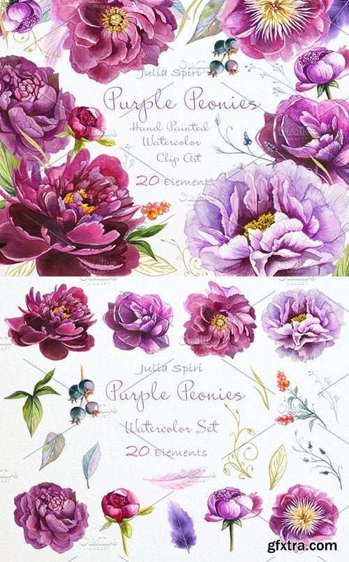 CM - Purple Peonies. Watercolor Clipart 955199