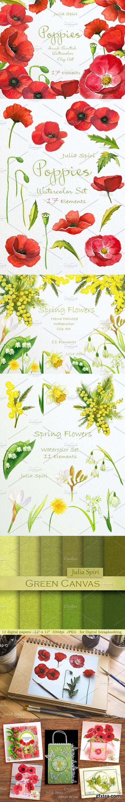 CM - Poppies & Spring Flowers. Watercolor 780415