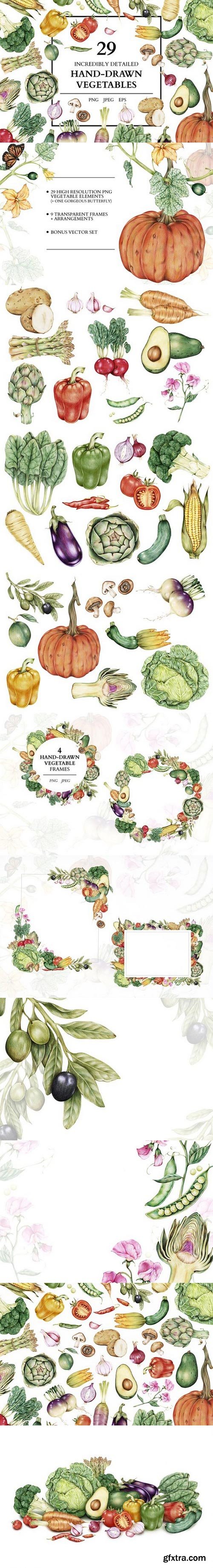 CM - 29 Incredible hand-drawn vegetables 1734414