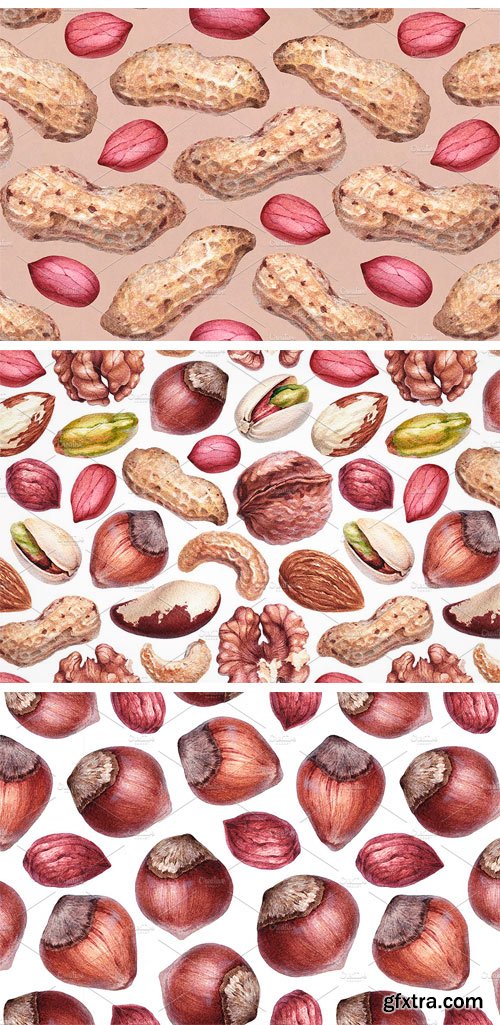 CM - Watercolour Illustrations of Nuts 1708642