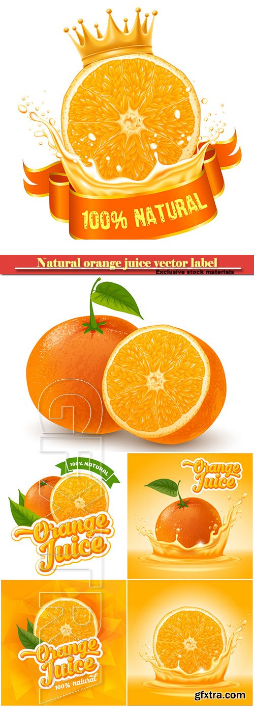 Natural orange juice vector label design template, fresh fruit with splash