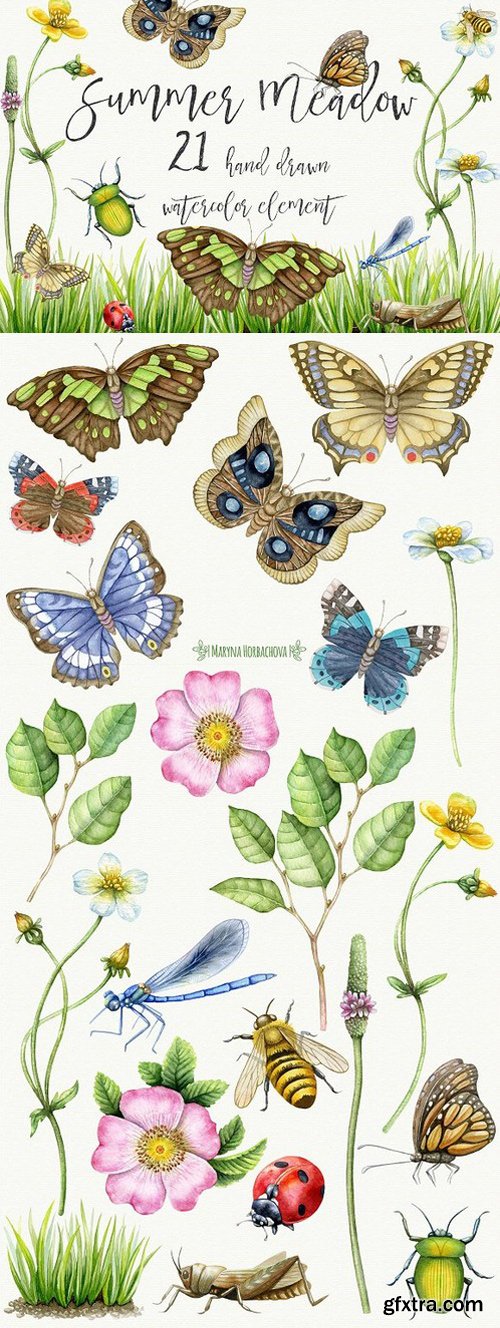 CM - Summer Meadow. Watercolor clipart 1697903