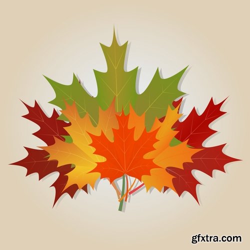 vector autumn background is a picture poster flyer banner leaf tree 3-25 EPS