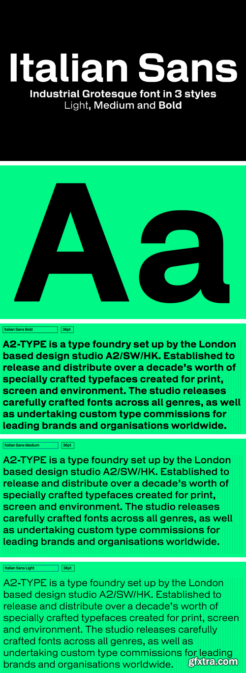 Italian Sans Font Family