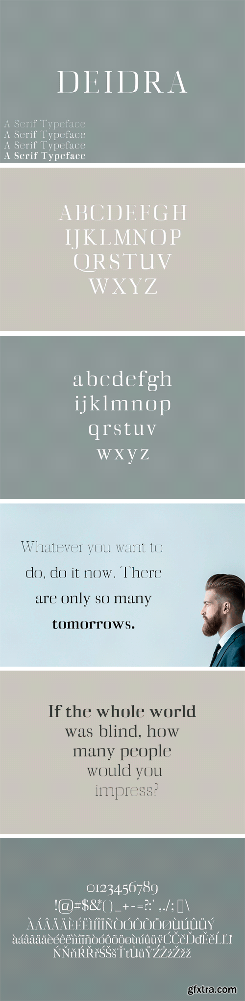 CM - Diedra Serif Typeface 1757769