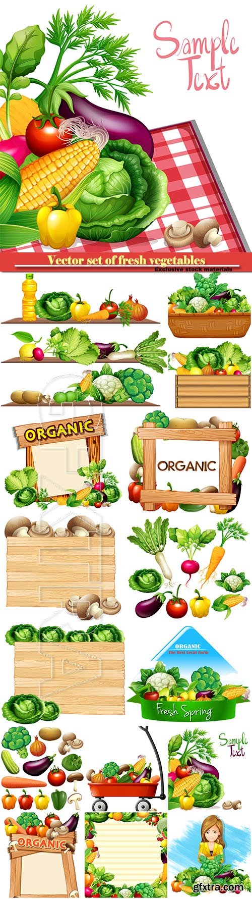 Vector set of fresh vegetables