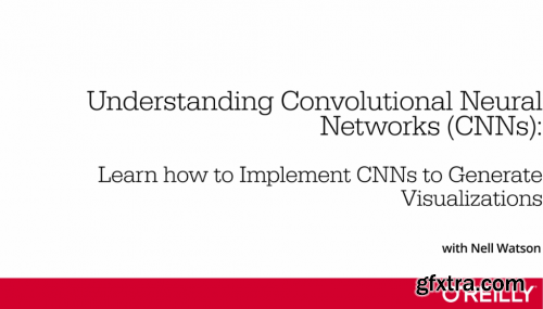 Understanding Convolutional Neural Networks (CNNs)