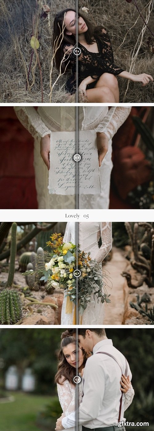 Shae Estella Photo - The Lovely Collection Bundle Preset