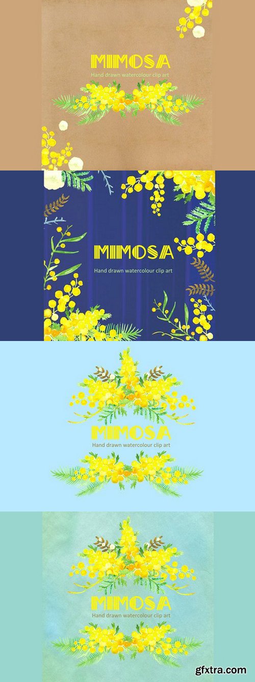 CM - Mimosa Watercolor Clip Art 238745