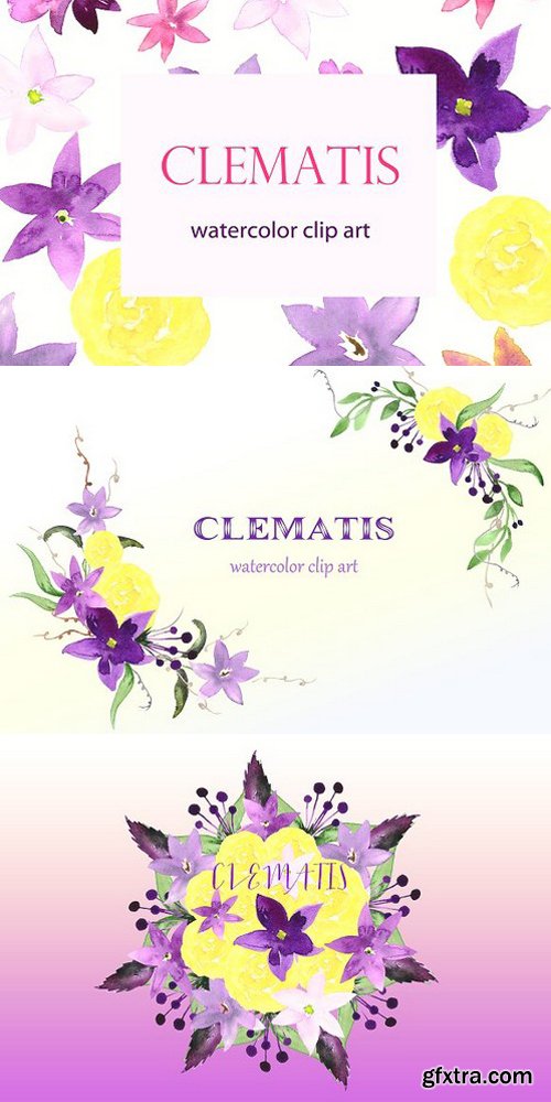 CM - Clematis Purple. Watercolor clip art 239345