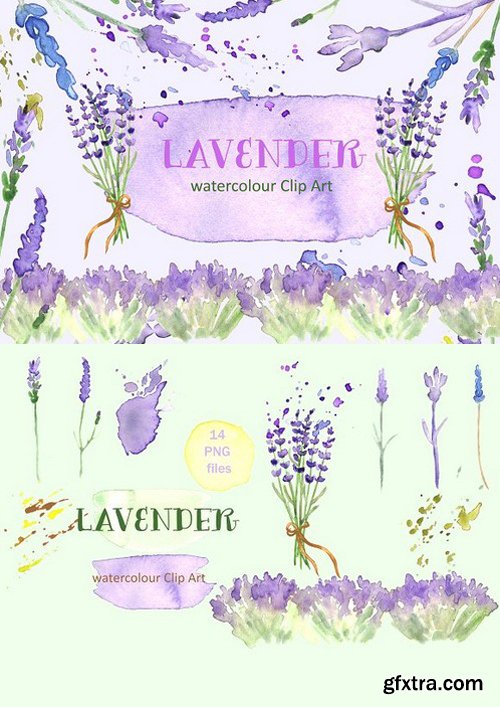 CM - Lavender watercolor clip art 234179