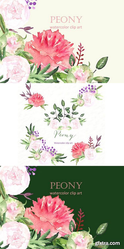 CM - Peony set watercolor clip art 232838