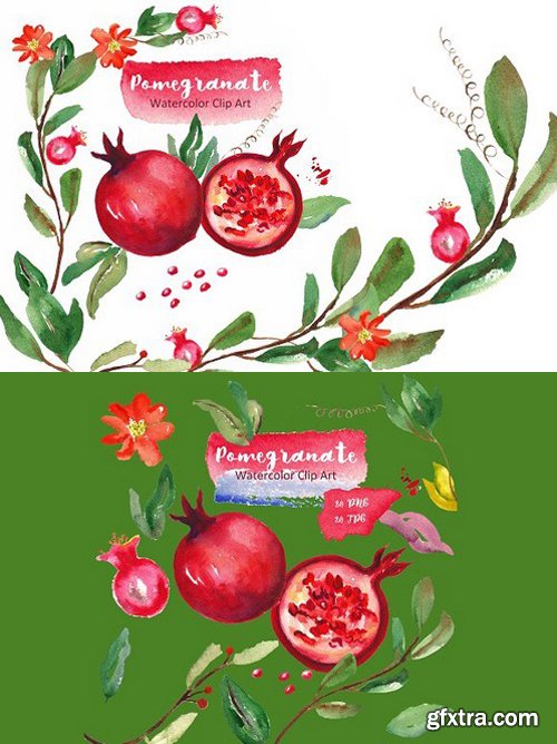 CM - Pomegranate. Watercolor Clip art 280590