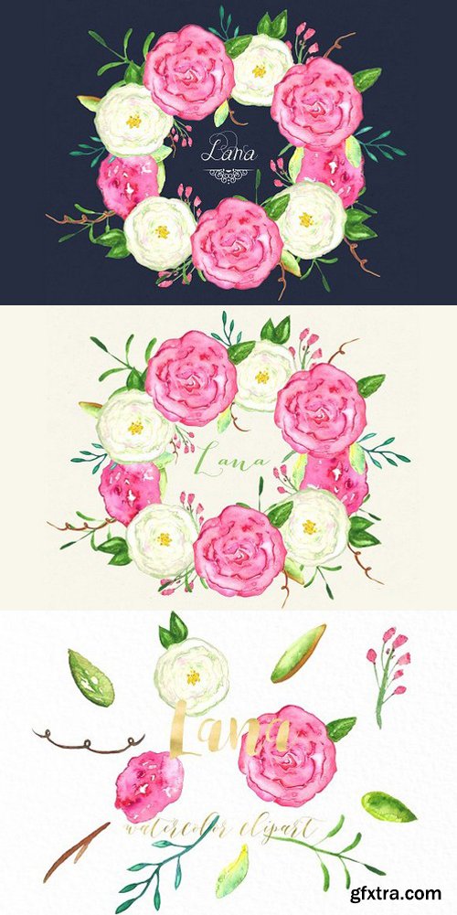 CM - Roses Lana watercolor Clipart 251874