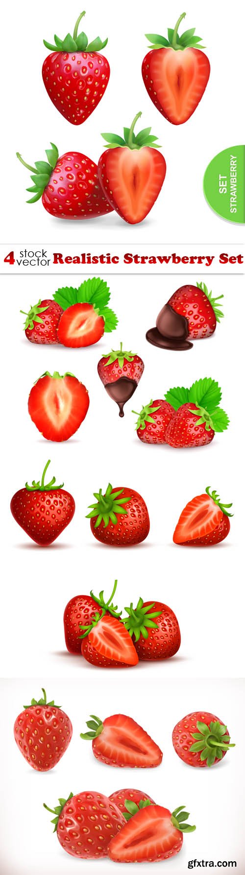 Vectors - Realistic Strawberry Set