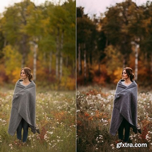 Tricia Victoria - Custom Presets for Lightroom & ACR - The Vibrant Pack