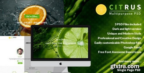 ThemeForest - Citrus v1.0 - One Page PSD Template 7219144