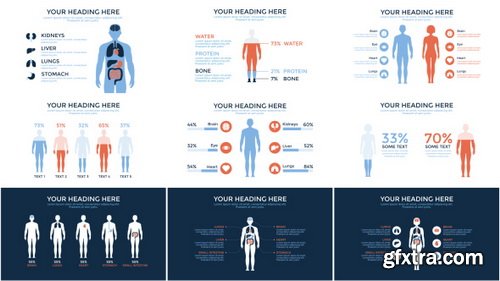 Videohive - Medical Infographics - 19435869