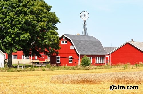 Farm farmstead ranch cowboy shepherd cattle cow horse 25 HQ Jpeg