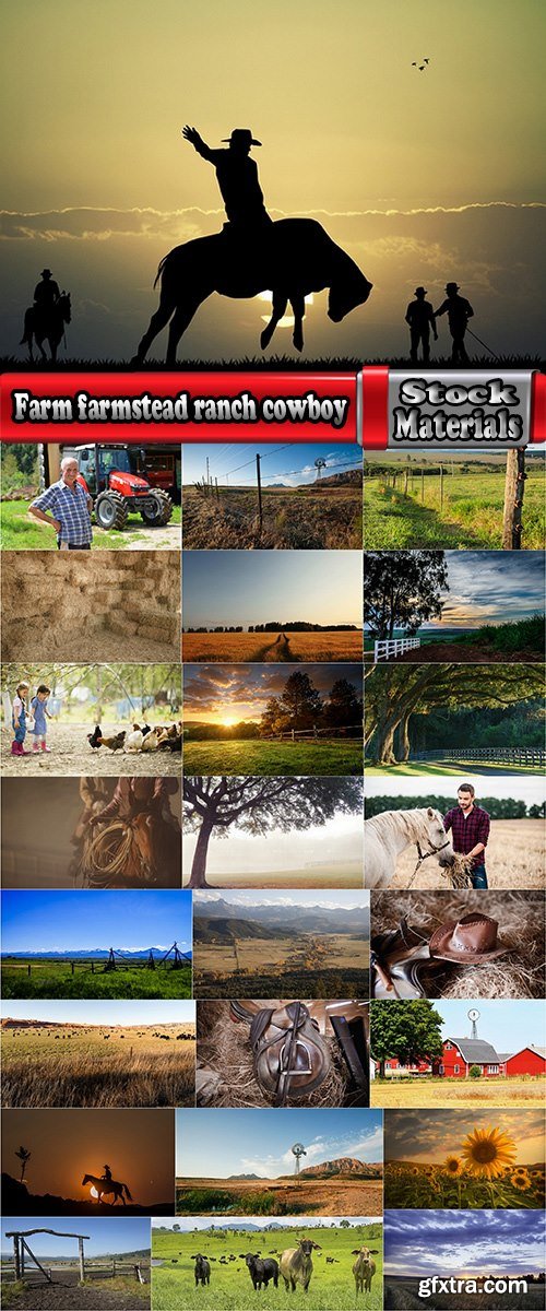 Farm farmstead ranch cowboy shepherd cattle cow horse 25 HQ Jpeg