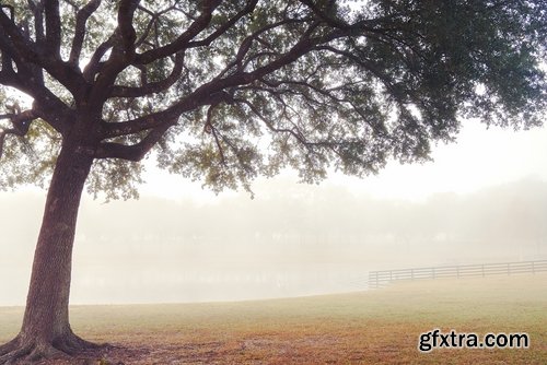 Farm farmstead ranch cowboy shepherd cattle cow horse 25 HQ Jpeg