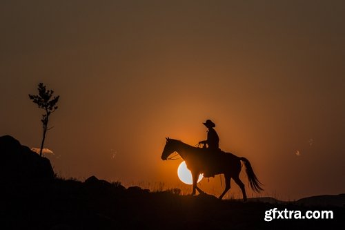 Farm farmstead ranch cowboy shepherd cattle cow horse 25 HQ Jpeg