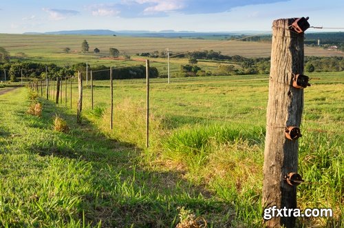 Farm farmstead ranch cowboy shepherd cattle cow horse 25 HQ Jpeg