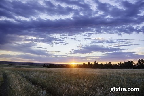 Farm farmstead ranch cowboy shepherd cattle cow horse 25 HQ Jpeg