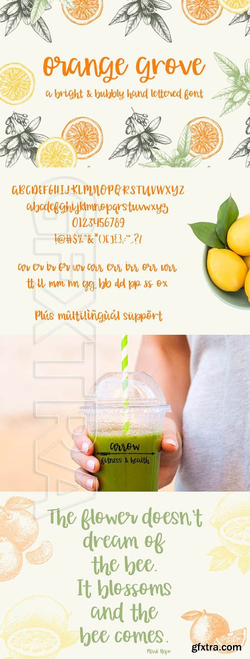 CreativeMarket - Orange Grove Script 1815694