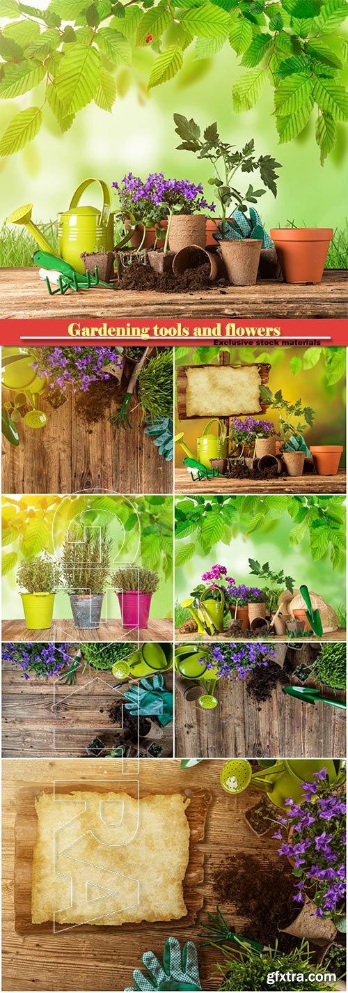 Gardening tools and flowers on wooden table