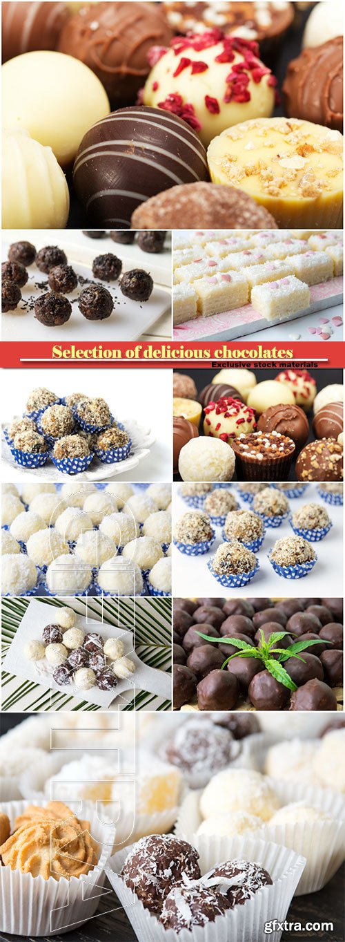 Selection of delicious chocolates, coconut spread cookies and candy