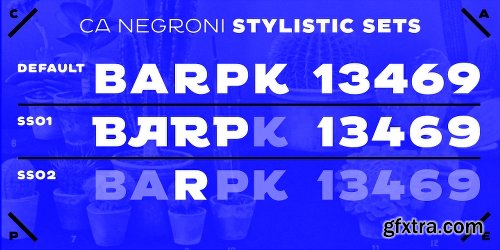 CA Negroni Font Family - 5 Fonts $99