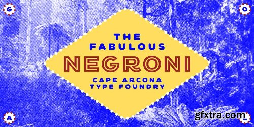 CA Negroni Font Family - 5 Fonts $99