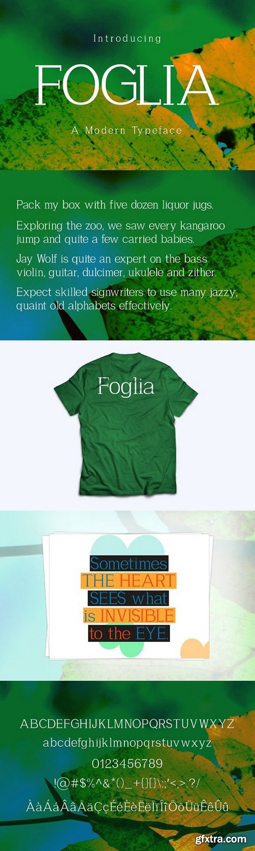 CM - Foglia Typeface 1759297