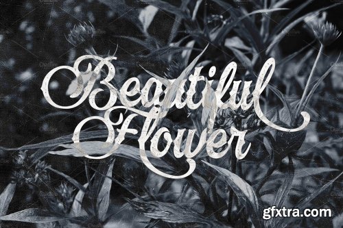 CreativeMarket Laventy Script 1291446