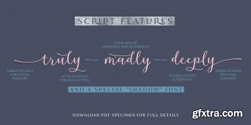 Lovingly Friends Font Family - 17 Fonts