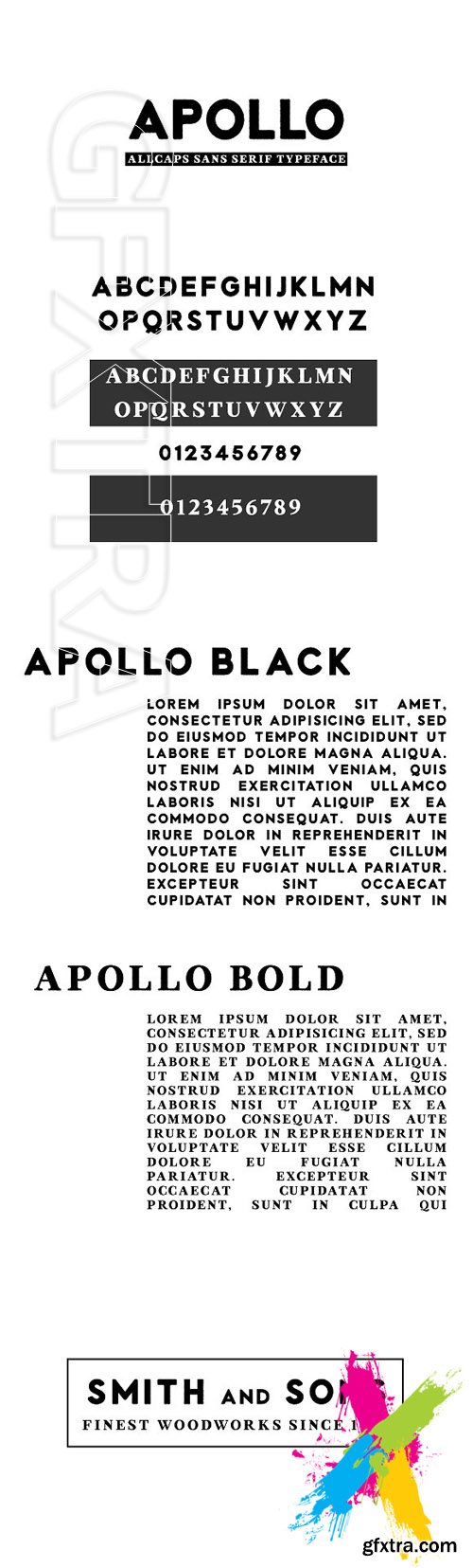 CreativeMarket - Apollo Fonts Sans Serif 1814620