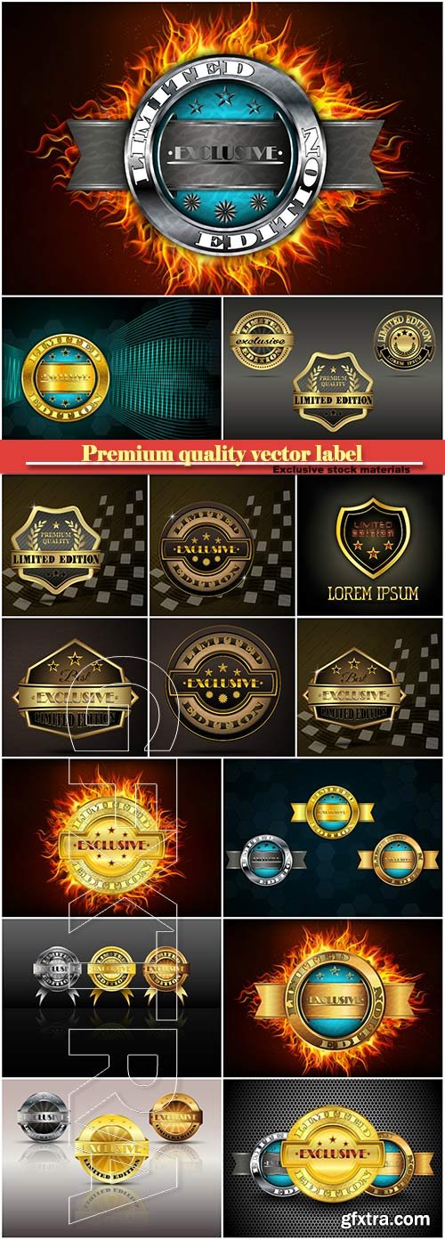 Premium quality label limited edition vector