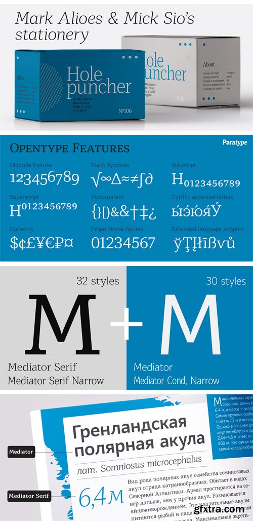 Mediator Serif Font Family