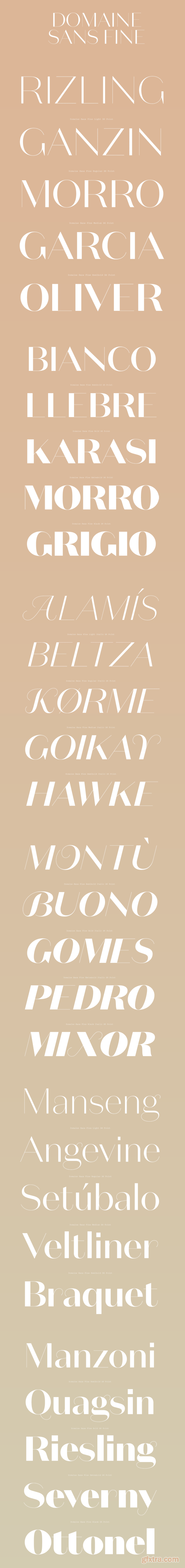 Domaine Sans Fine Font Family